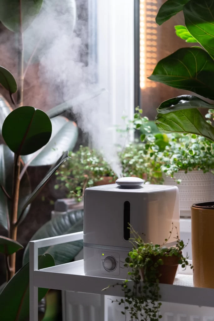 steam-from-humidifier-moistens-dry-air-surrounded-by-indoor-houseplants-home-garden-plant-care